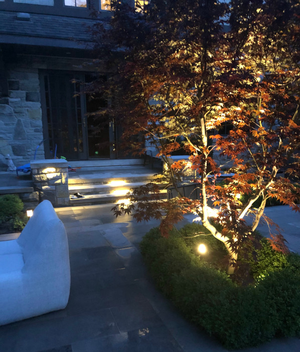 Etobicoke Lighting Project