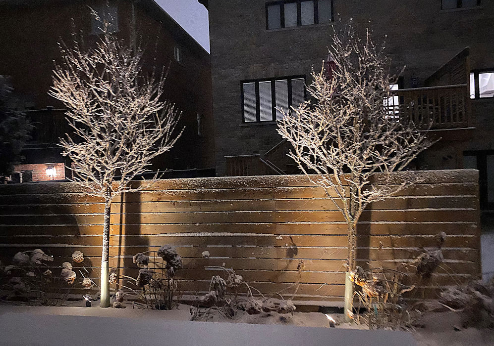 Richmond Hill Lighting Project