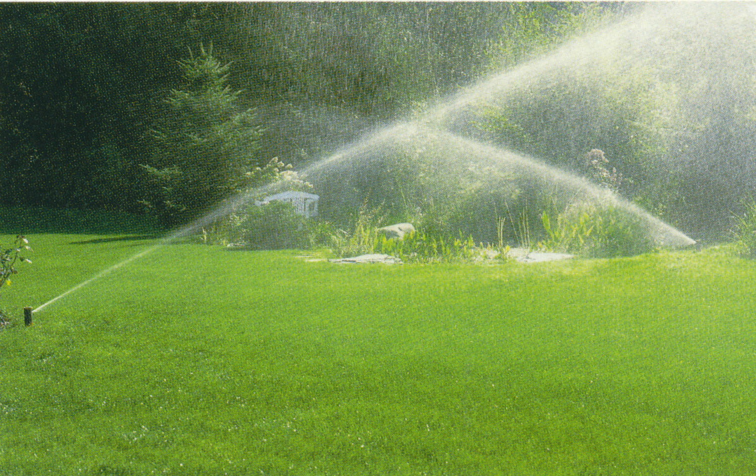 Lawn Sprinkler Contractor Essex County