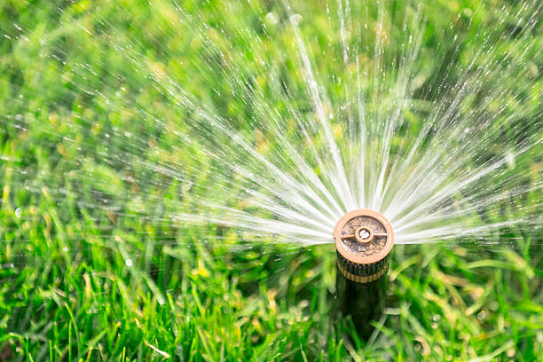 sprinkler spraying up close